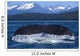 A Humpback Whale Lifts Its Flukes Wall Mural
