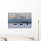 Humpback Whale Pod Lifts Their Flukes Wall Mural