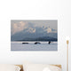 Humpback Whale Pod Lifts Their Flukes Wall Mural