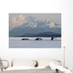 Humpback Whale Pod Lifts Their Flukes Wall Mural