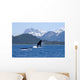A Humpback Whale Calf Breaches As Its Mother Swims Wall Mural