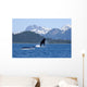 A Humpback Whale Calf Breaches As Its Mother Swims Wall Mural