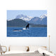 A Humpback Whale Calf Breaches As Its Mother Swims Wall Mural