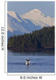 Humpback Whale Slaps Its Flukes On The Surface Wall Mural