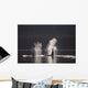 Orca Whales Surface Along A Forested Shoreline Wall Mural