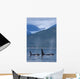 Composite Wall Mural