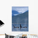 Composite Wall Mural