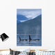 Composite Wall Mural