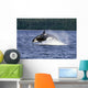 Orca Whale Breaching Cross Sound Inside Passage Wall Mural