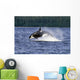 Orca Whale Breaching Cross Sound Inside Passage Wall Mural