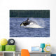 Orca Whale Breaching Cross Sound Inside Passage Wall Mural