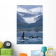 A Pod Of Orca Whales Surface In Favorite Passage Wall Mural