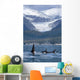 A Pod Of Orca Whales Surface In Favorite Passage Wall Mural