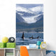 A Pod Of Orca Whales Surface In Favorite Passage Wall Mural
