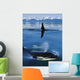 Composite Wall Mural