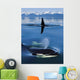 Composite Wall Mural