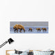 Brown Bear Sow And Her Three Cubs Walking Wall Mural