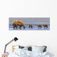 Brown Bear Sow And Her Three Cubs Walking Wall Mural