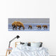 Brown Bear Sow And Her Three Cubs Walking Wall Mural