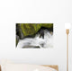 Overhead View Of A Black Bear Catching A Pink Salmon Wall Mural