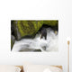 Overhead View Of A Black Bear Catching A Pink Salmon Wall Mural