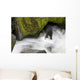 Overhead View Of A Black Bear Catching A Pink Salmon Wall Mural