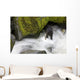 Overhead View Of A Black Bear Catching A Pink Salmon Wall Mural