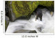Overhead View Of A Black Bear Catching A Pink Salmon Wall Mural