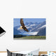Bald Eagle Wall Mural