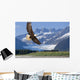 Bald Eagle Wall Mural