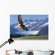 Bald Eagle Wall Mural