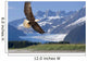 Bald Eagle Wall Mural