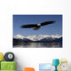 Bald Eagle Wall Mural