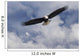 Bald Eagle Wall Mural
