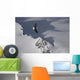 Bald Eagle Soaring Above The Mountain Peaks Wall Mural