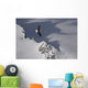 Bald Eagle Soaring Above The Mountain Peaks Wall Mural