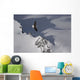 Bald Eagle Soaring Above The Mountain Peaks Wall Mural