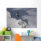 Bald Eagle Soaring Above The Mountain Peaks Wall Mural
