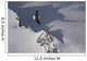 Bald Eagle Soaring Above The Mountain Peaks Wall Mural