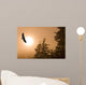 Bald Eagle Soars Above Tongass National Forest As Sun Rises Wall Mural