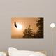 Bald Eagle Soars Above Tongass National Forest As Sun Rises Wall Mural