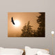 Bald Eagle Soars Above Tongass National Forest As Sun Rises Wall Mural