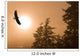 Bald Eagle Soars Above Tongass National Forest As Sun Rises Wall Mural
