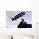 Bald Eagle Wall Mural