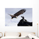 Bald Eagle Wall Mural
