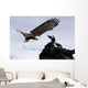 Bald Eagle Wall Mural