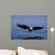 A Bald Eagle Swoops Wall Mural