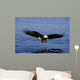 A Bald Eagle Swoops Wall Mural
