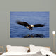 A Bald Eagle Swoops Wall Mural
