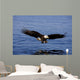 A Bald Eagle Swoops Wall Mural